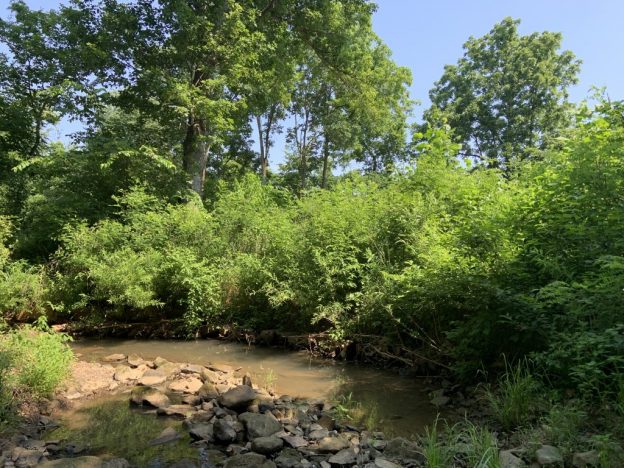 West Fork White River~Un-Named Tributaries - West Fork, Arkansas ...